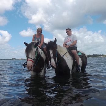 CPonies - Horseback Riding Near Me - Bradenton, Florida CPonies - Horseback Riding Near Me - Bradenton, Florida