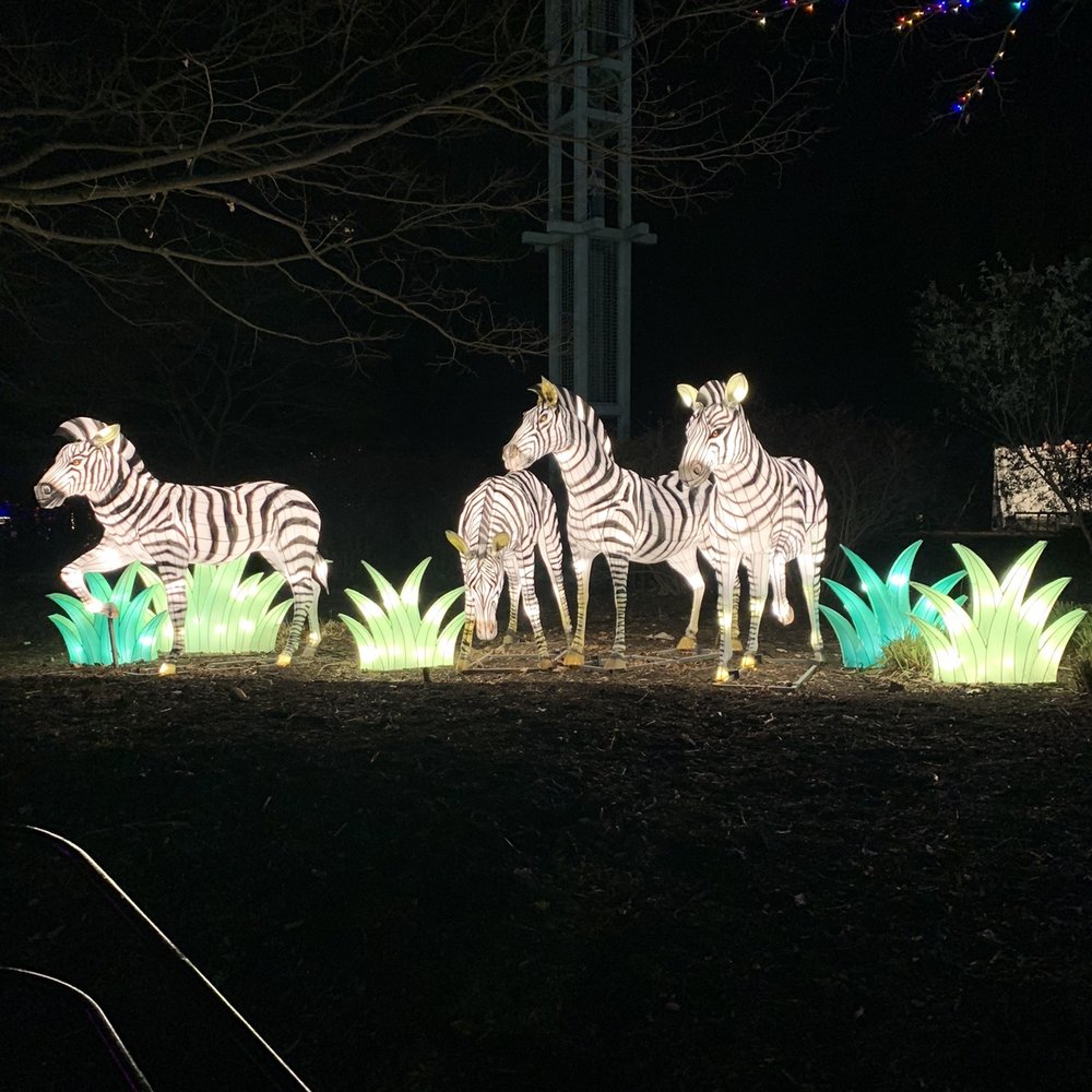 ZooLights - Zoos Near Me - Washington, DC, District of Columbia