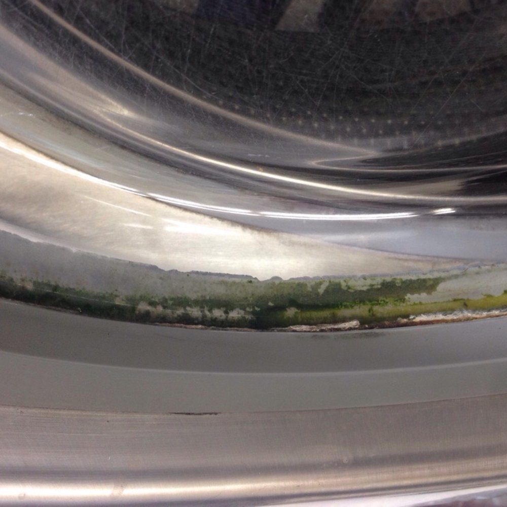 Coin Wash & Dry - Is this algae? - Laundromat Near Me - San Francisco, California Coin Wash & Dry - Is this algae? - Laundromat Near Me - San Francisco, California