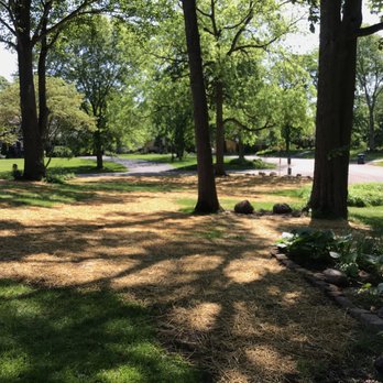 Milestone Landscaping - Removed all brush and roots for a nice lawn - Landscaping Near Me - Anderson, Indiana