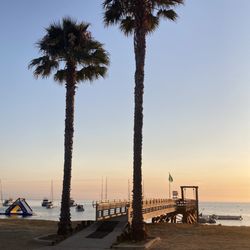 Catalina Island Camps
