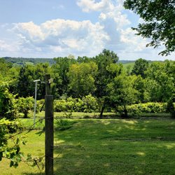 First Vineyard Winery - Looking over the Vineyard at First Vineyard