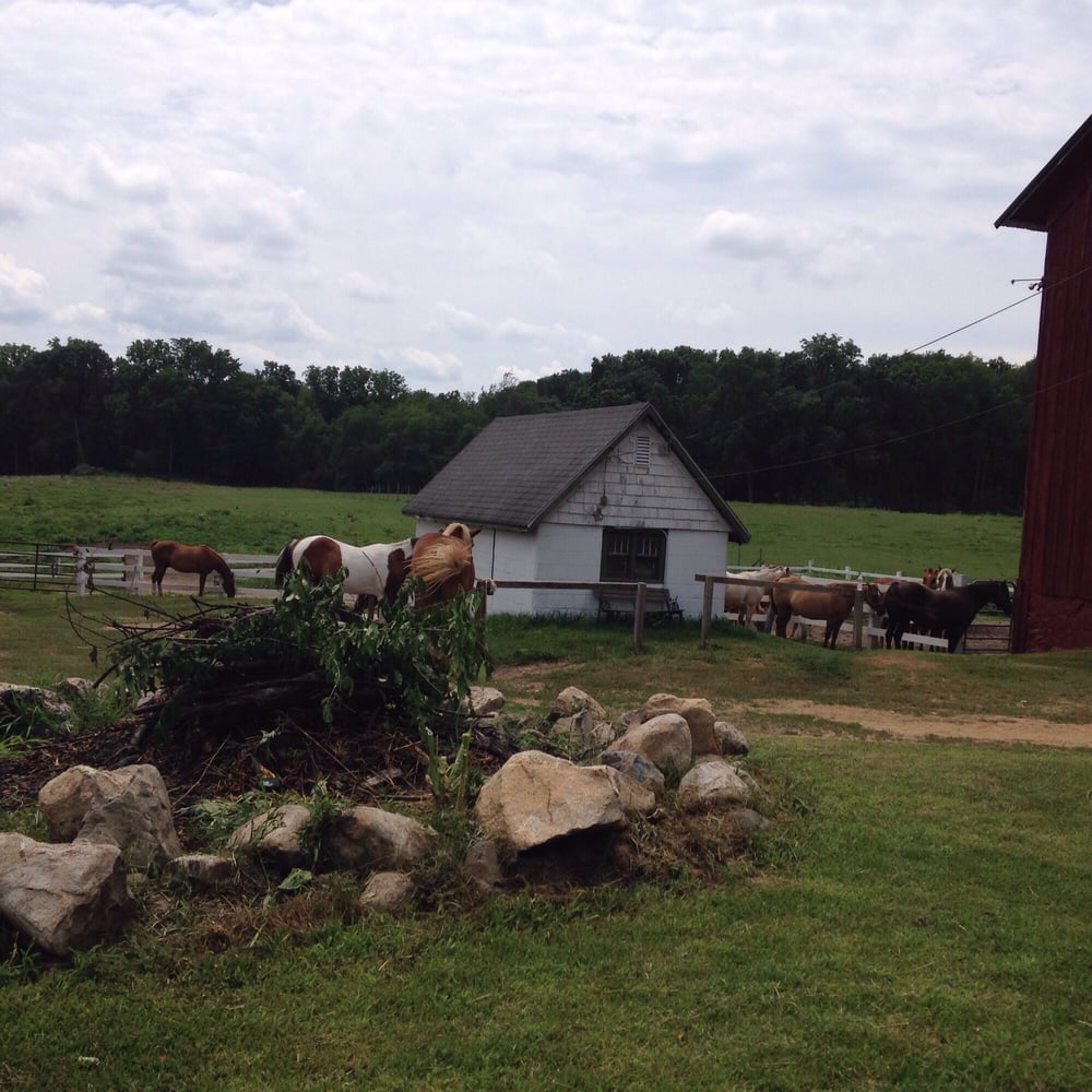 DIAMONDDRANCH Updated September 2024 3223 Dunning St, Cassopolis, Michigan Horse