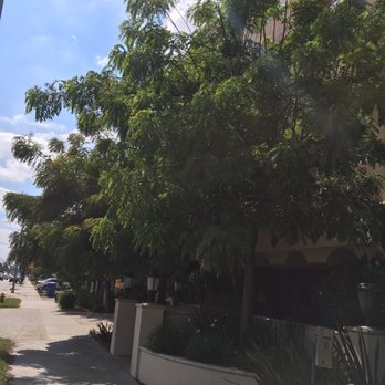 Serrano Development Group - Property Management Near Me - Pasadena, California