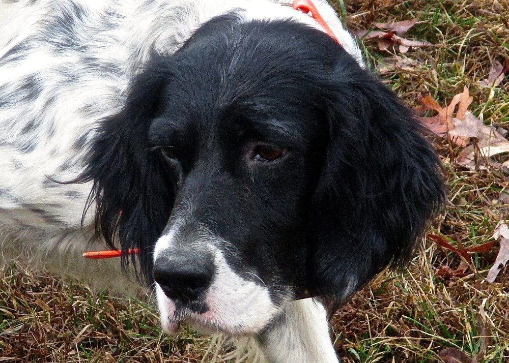 NORTHSIDE FEED & FARM SUPPLY Updated October 2024 246 NW State