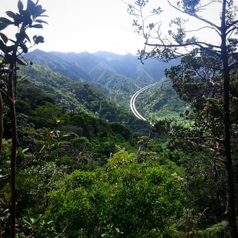 Aiea Loop Trail - The majestic H-3 in its natural habitat - Hiking Near Me - Aiea, Hawaii Aiea Loop Trail - The majestic H-3 in its natural habitat - Hiking Near Me - Aiea, Hawaii
