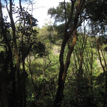 Mahana Ridge Trail - Hiking Near Me Mahana Ridge Trail - Hiking Near Me