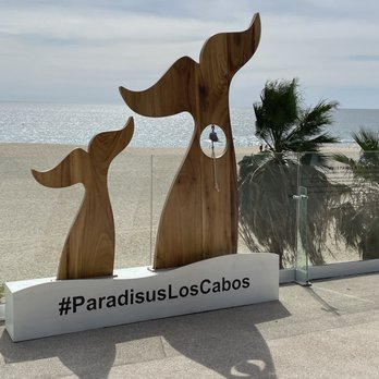 Paradisus Los Cabos - Hotels Near Me - Los Cabos, BCS Paradisus Los Cabos - Hotels Near Me - Los Cabos, BCS