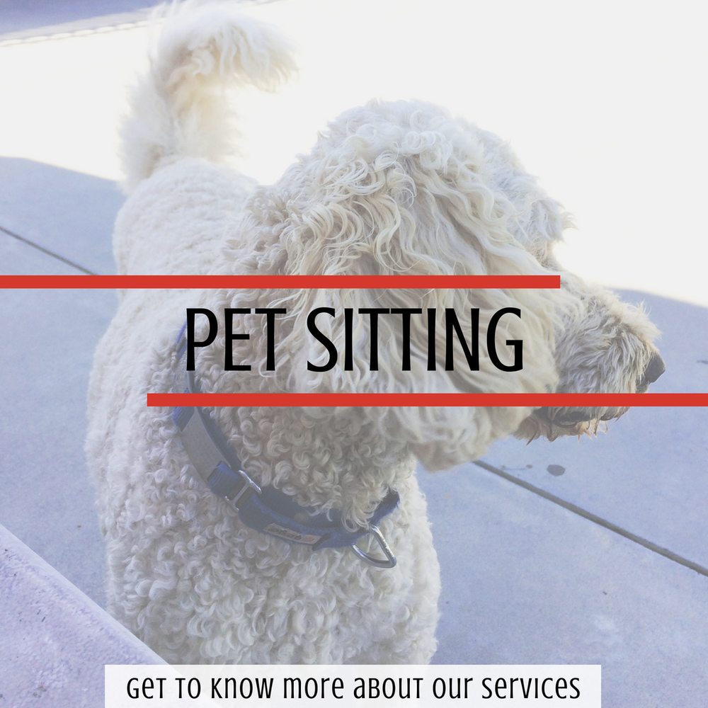SUPERPET SERVICES 102 Photos & 22 Reviews Pet Sitting Riverside