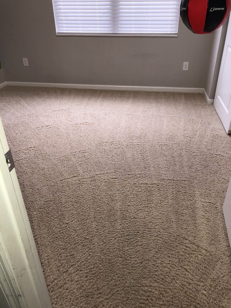 ROYAL BUCKEYE CARPET CLEANING Updated August 2024 2900 Badger Dr