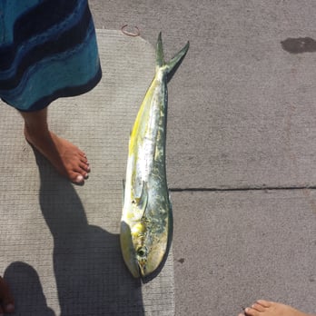 Ku'uipo - nice mahi mahi - Boat Charters Near Me - Kailua-Kona, Hawaii