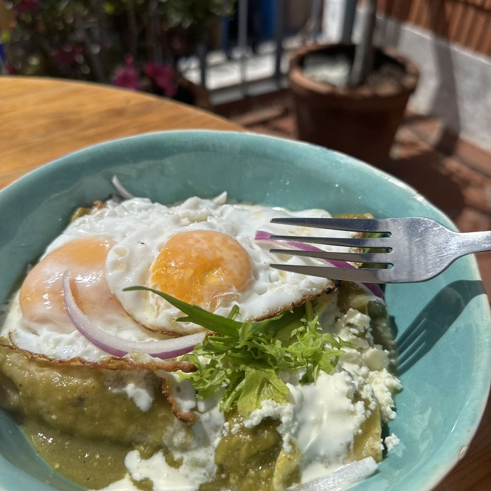 Café Café - Enchiladas verde (pollo) con huevos - Coffee & Tea Near Me - Oaxaca, OAX