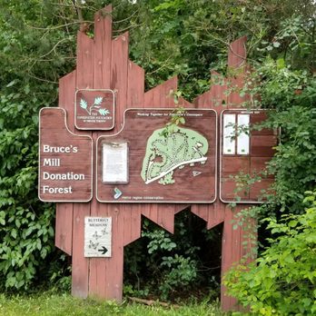 Treetop Trekking - Bruce's Mill is the location - Ziplining Near Me - Whitchurch-Stouffville, Ontario Treetop Trekking - Bruce's Mill is the location - Ziplining Near Me - Whitchurch-Stouffville, Ontario