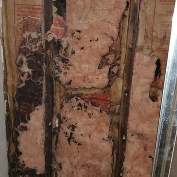 Edwin New Structural Framing - Rotted stud - General Contractors Near Me