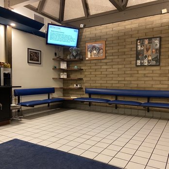 Berkeley Dog & Cat Hospital - Veterinarians Near Me - Berkeley, California