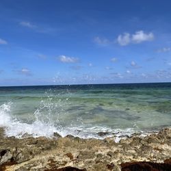 Freedom in Paradise