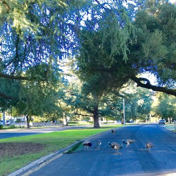 Michillinda Park - Locals crossing only - Parks Near Me - Pasadena, California