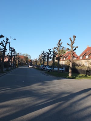 Ullevål Hageby by null