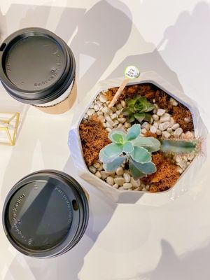 The Slow Down Coffee Co. by null