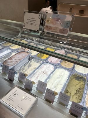 Birds of Paradise Gelato Boutique (Jewel Changi Airport) by null