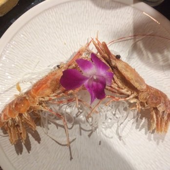 Sushi Fever - Japanese Near Me - Cedar Park, Texas Sushi Fever - Japanese Near Me - Cedar Park, Texas