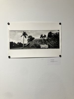 Art Museum of the Americas by null