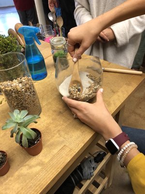 Ephemera - Plants, Terrariums and Comics by null