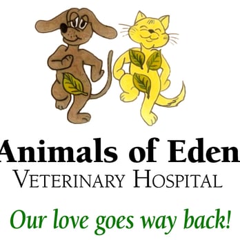 McPherson Glenn J DVM - Veterinarians Near Me - Brevard, North Carolina McPherson Glenn J DVM - Veterinarians Near Me - Brevard, North Carolina