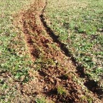 Gotchaplumber - water lines installed in Greenville, Anderson, Spartanburg sc with Gotchaplumber, http://www.gotchaplumber.com - Plumbing Near Me Gotchaplumber - water lines installed in Greenville, Anderson, Spartanburg sc with Gotchaplumber, http://www.gotchaplumber.com - Plumbing Near Me