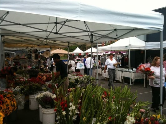 La Jolla Open Aire Farmers Market by null