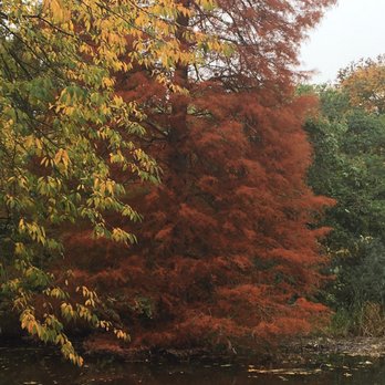 Cambridge University Botanic Garden - Colleges & Universities Near Me - Cambridge, CAM Cambridge University Botanic Garden - Colleges & Universities Near Me - Cambridge, CAM