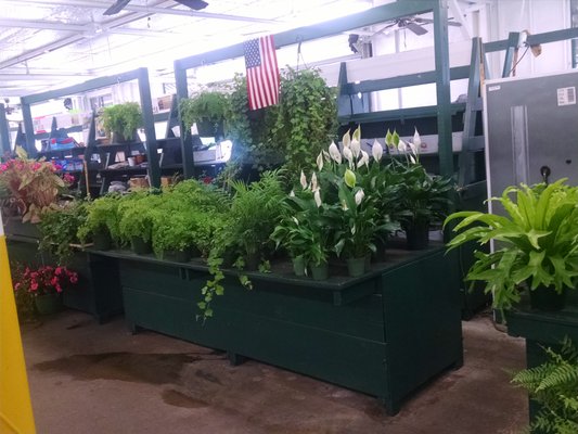 Montgomery Curb Market by null