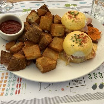 Flora's Field Kitchen - Eggs Benedict.  Soooo good. - Pizza Near Me - Ánimas Bajas, BCS
