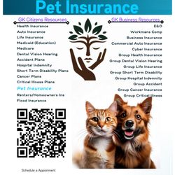 Global Kinnect Insurance