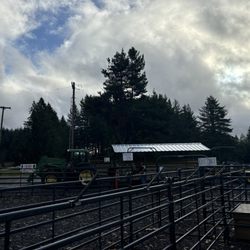 Klopman Farms U-Cut Christmas Trees - The fun ride that takes you to the trees