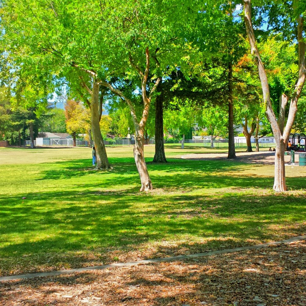 Calero Park - Parks Near Me - San Jose, California Calero Park - Parks Near Me - San Jose, California