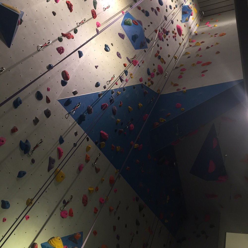 The Aviary - Rock Climbing Near Me - Vancouver, British Columbia The Aviary - Rock Climbing Near Me - Vancouver, British Columbia