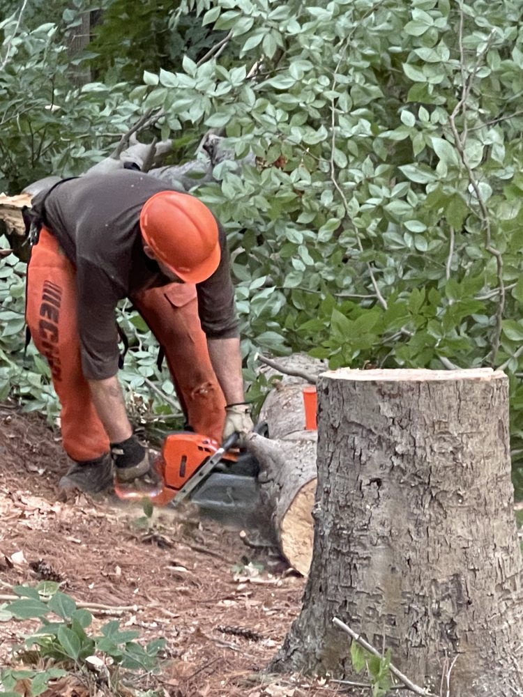 SHEA AFFORDABLE TREE REMOVAL & SERVICES Request a Quote Hanover