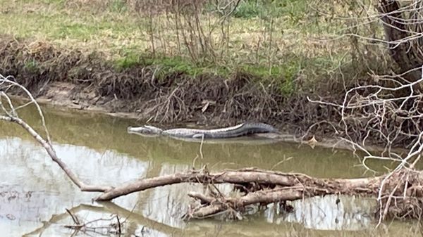 George Bush Park by null