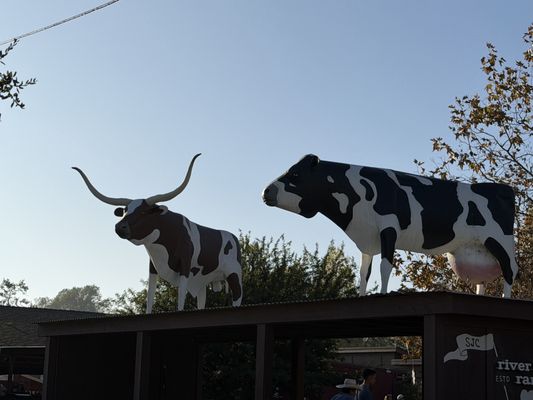 River Street Ranch by null