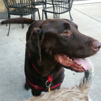 Underdogs Pub - Dog friendly. Chill Monday night... beers... - Pubs Near Me - Houston, Texas Underdogs Pub - Dog friendly. Chill Monday night... beers... - Pubs Near Me - Houston, Texas