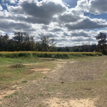 Wise Acres Organic Farm - Farmers Market Near Me - Indian Trail, North Carolina Wise Acres Organic Farm - Farmers Market Near Me - Indian Trail, North Carolina