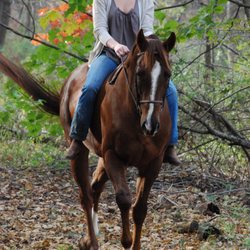 High Point Farms II