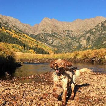 Piney River Ranch - My puppy loving Piney Lake! - Guest Houses Near Me - Vail, Colorado