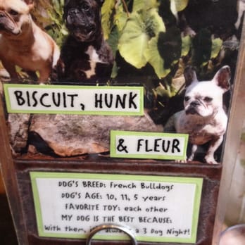 Fido - Best placard - Coffee & Tea Near Me - Nashville, Tennessee