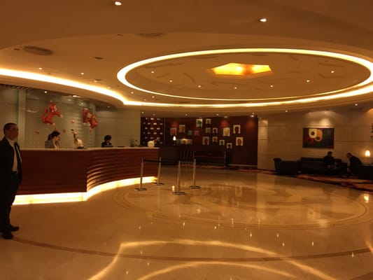 Oasis Avenue by null