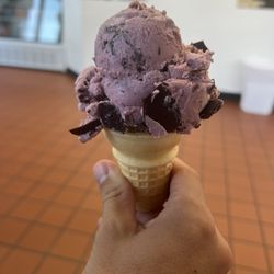 Black Raspberry Chip in a cake cone