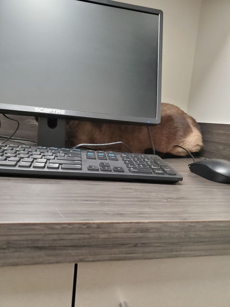 Magnolia Veterinary Hospital Image