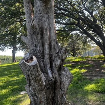 Les Lacs Trail - Dog Parks Near Me - Addison, Texas Les Lacs Trail - Dog Parks Near Me - Addison, Texas