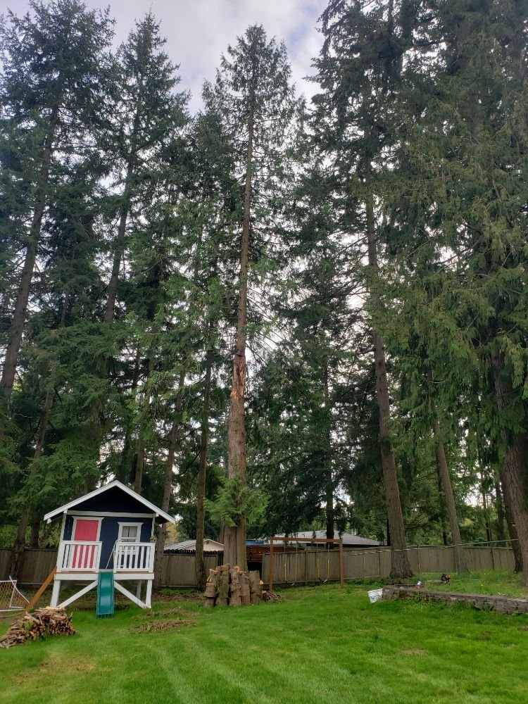 Slide of Shepherd's Tree Service and Excavation